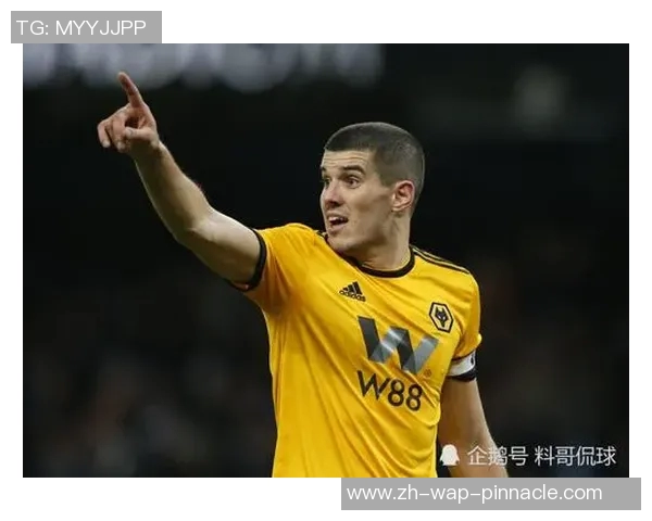 谢菲尔德与狼队精彩对决直播全程回顾与分析