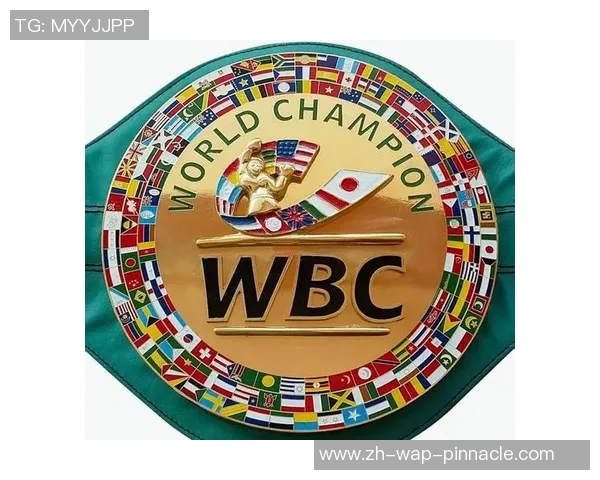 大卫海耶与贝卢的巅峰对决揭示拳击界的新传奇之路